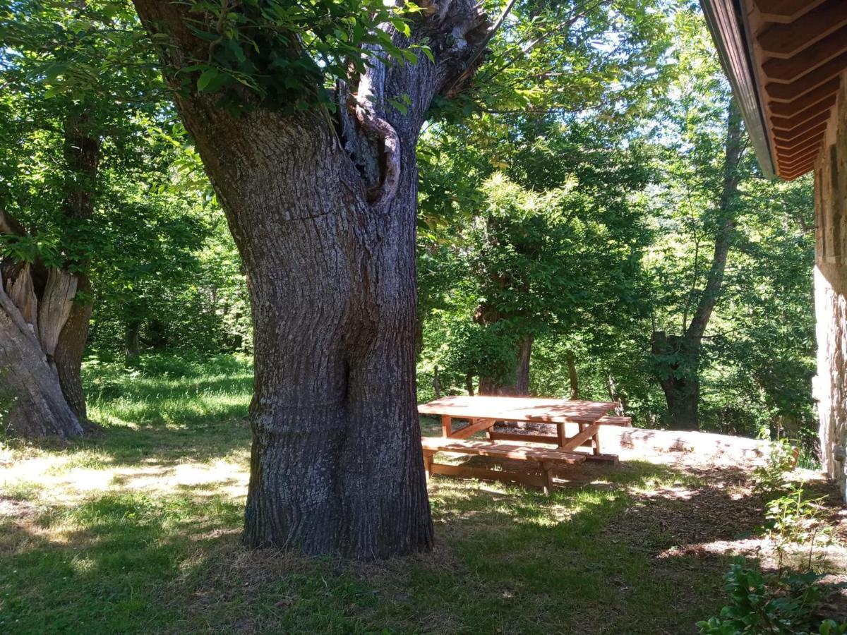 Casa De Anama Villa Entrecinsa Dış mekan fotoğraf